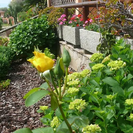 Casa Bruna Holiday home Villaputzu